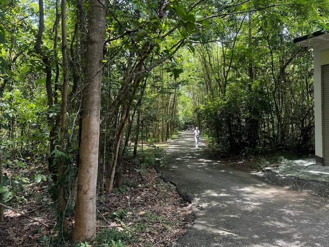 วัดป่าหนองกุง, อำเภอเมืองอุดรธานี, อุดรธานี