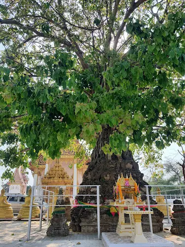 วัดพระงาม, อำเภอพระนครศรีอยุธยา, พระนครศรีอยุธยา