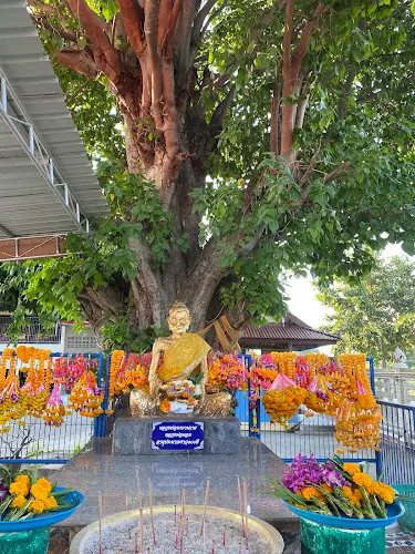 วัดโพธาราม