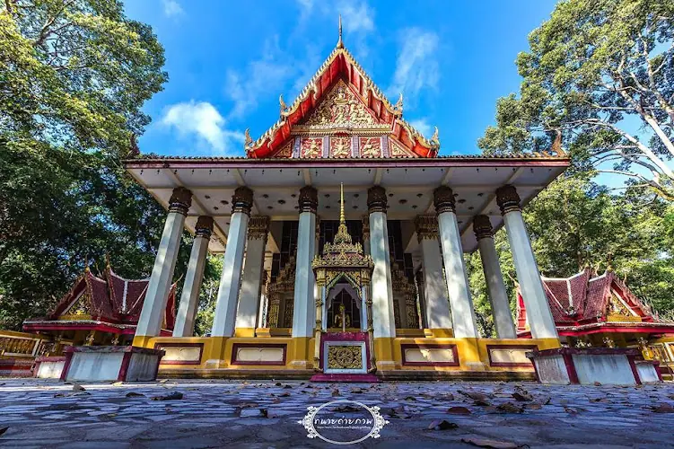 วัดป่ามะไฟ