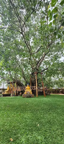 วัดต้นโพธิ์ศรีมหาโพธิ