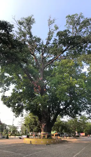 วัดคลองบางเดื่อ
