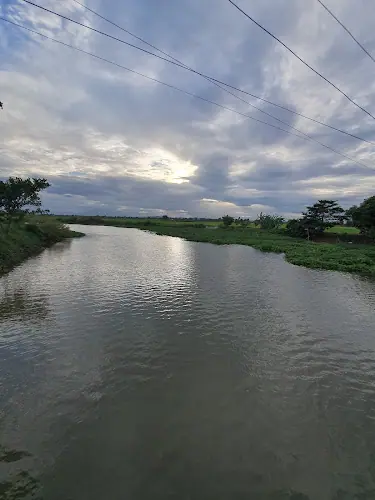 วัดพิพัฒนาราม (วัดดอนไข่เต่า)