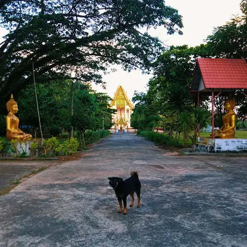 วัดแสงอรุณ