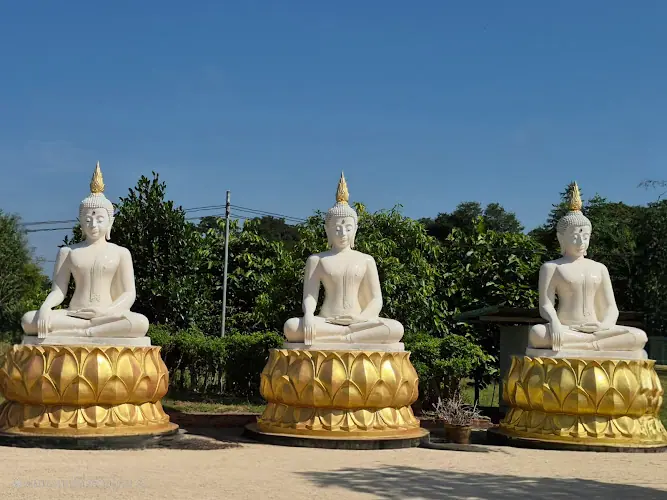 วัดป่าหนองหินทอง